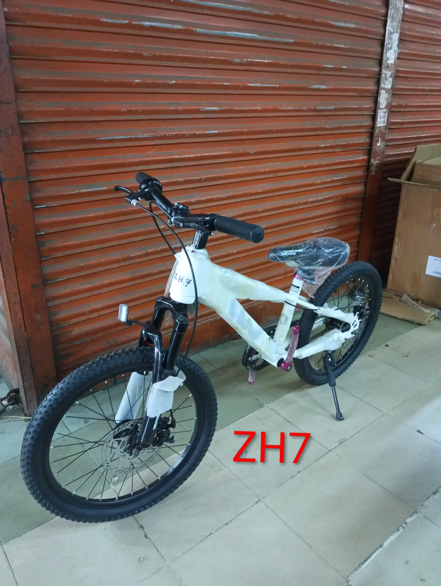 Bicycle ZH2